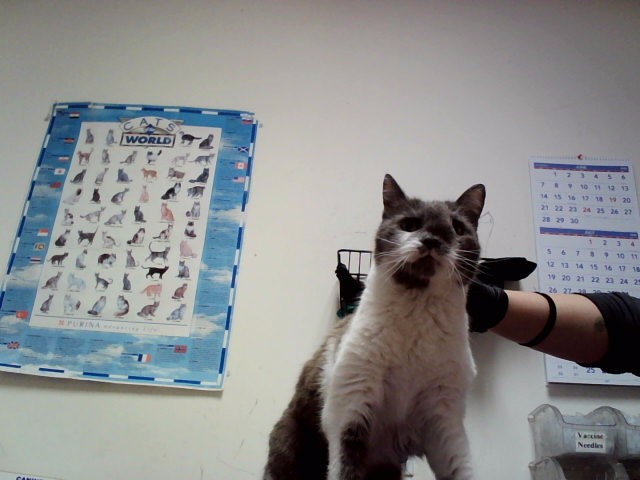 Missy