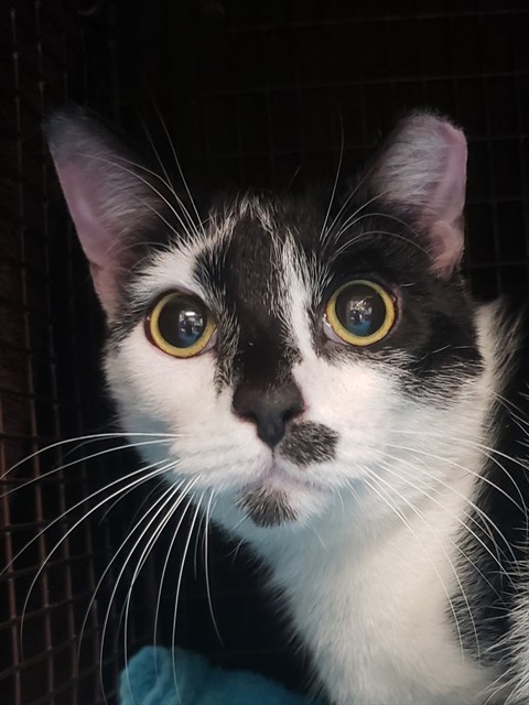 Luna