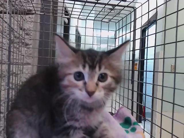 Fiona