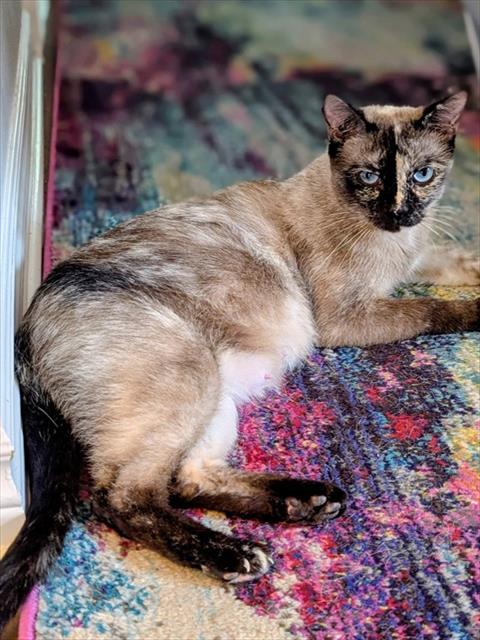 Maggie