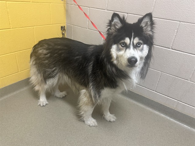Max