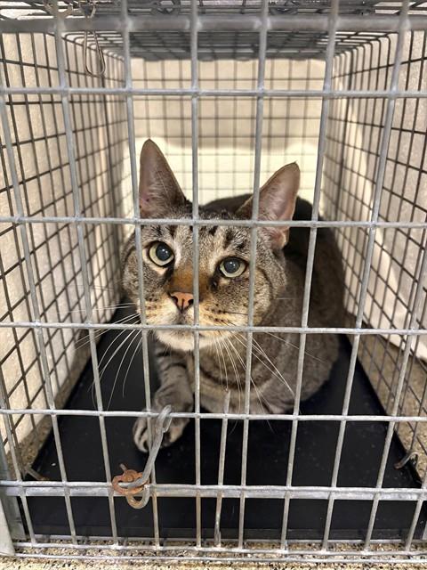 Bruce