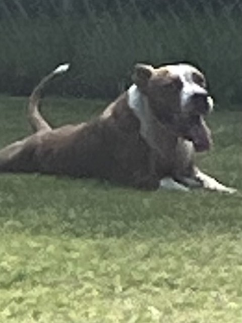 Buster