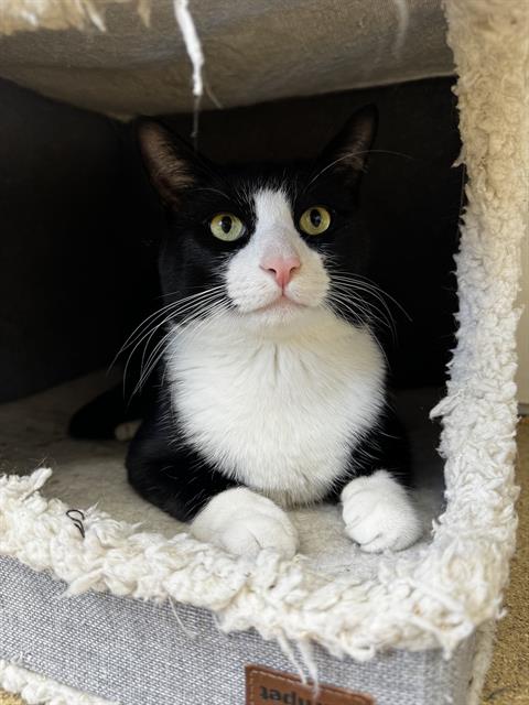 Tux