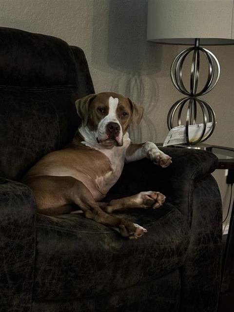 Jax