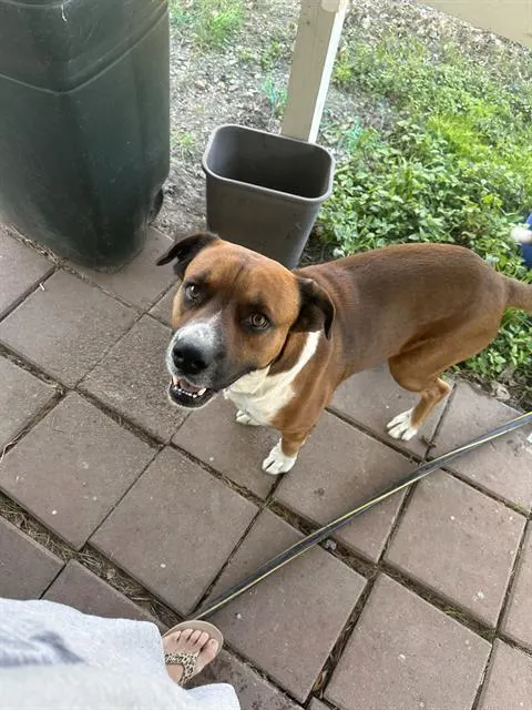 Paco
