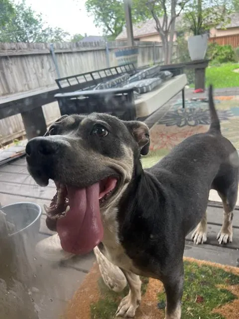 Lucy