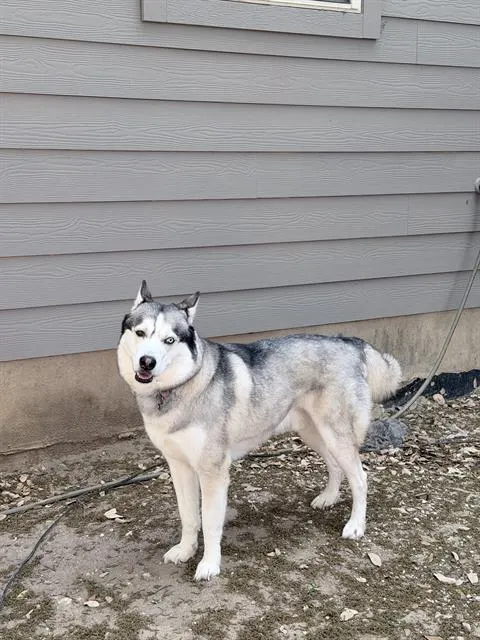 Max