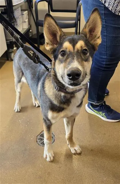 Roscoe