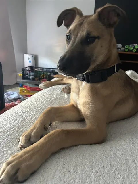 Mo