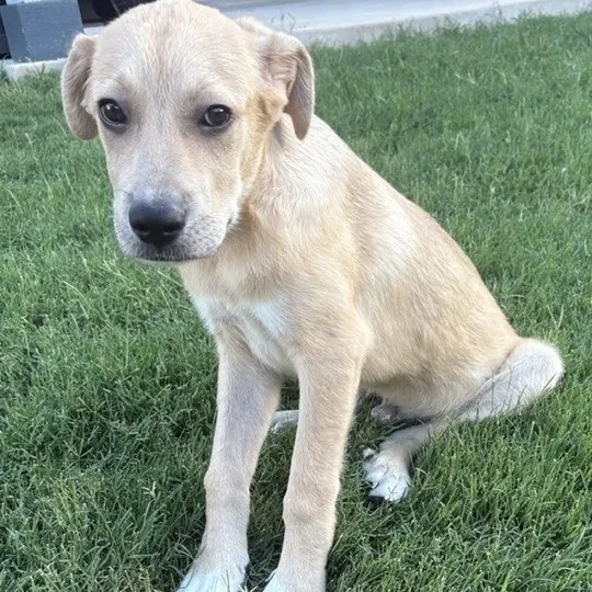 Murphy