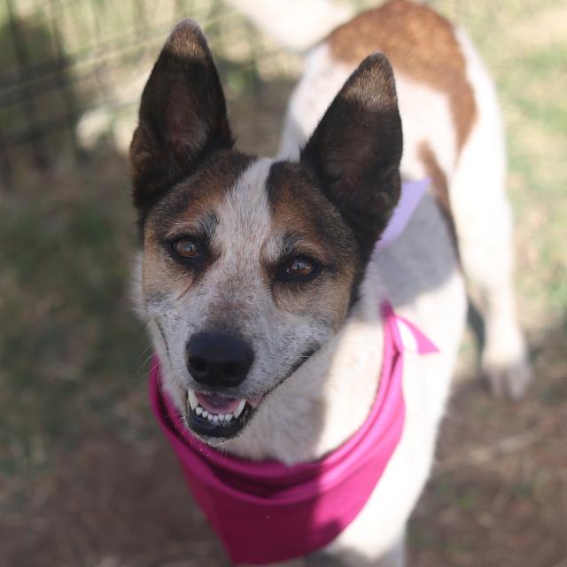 Coco