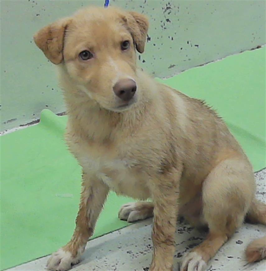 Milo