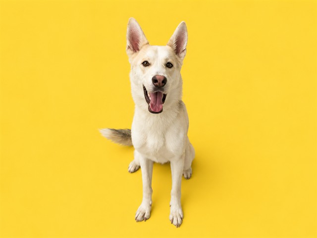 Juno