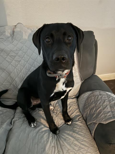 Jax