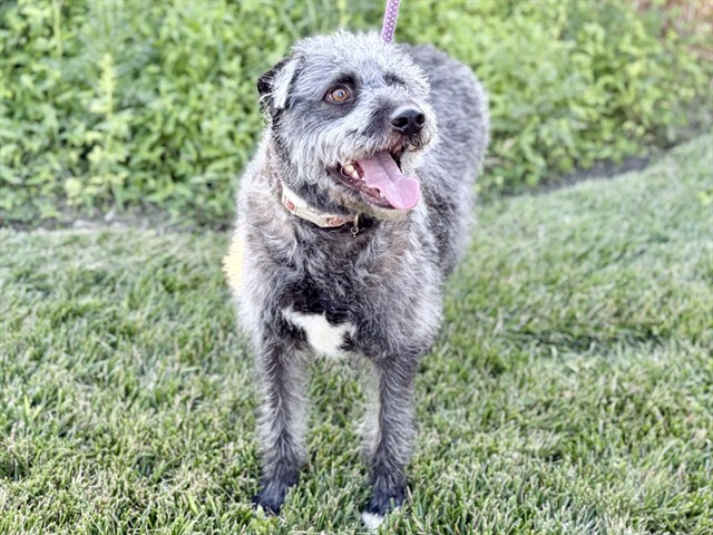 Winnie
