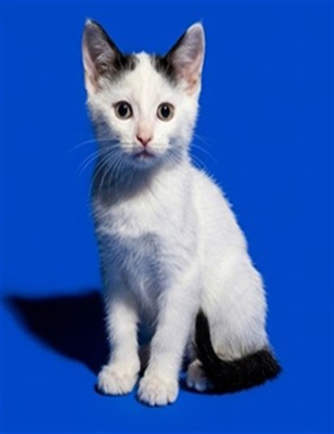 Casper