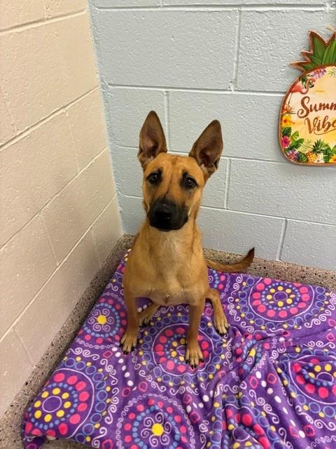 Coco