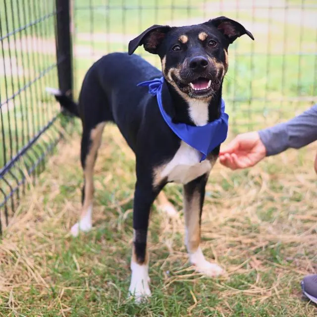 Jimmy Buffet