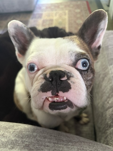 Nelly