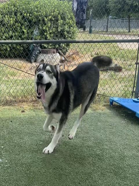 Max
