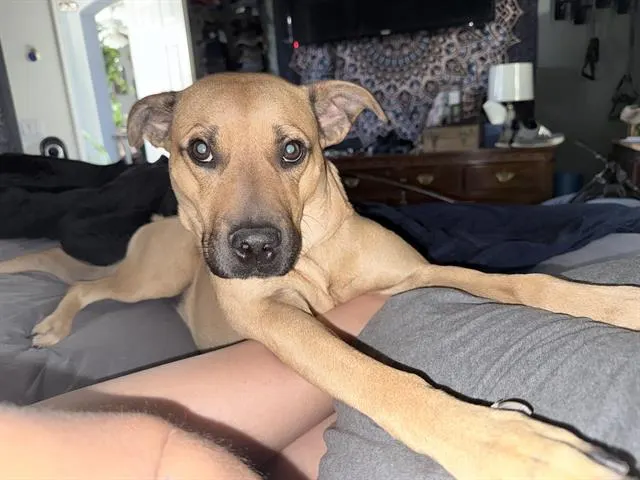 Kiki