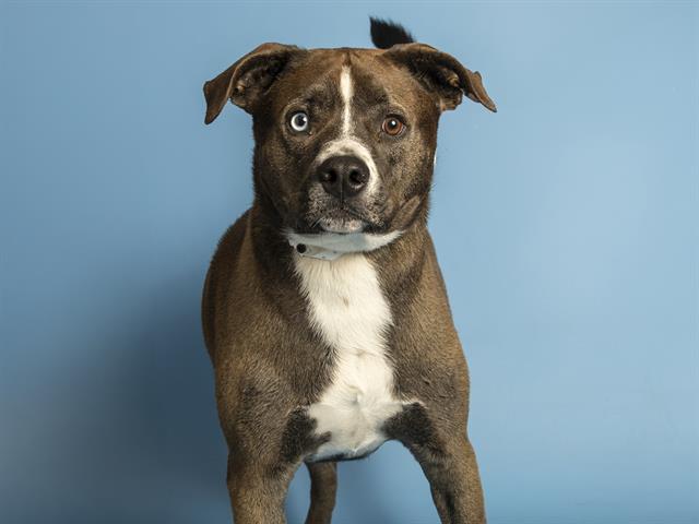 Buster Eugene