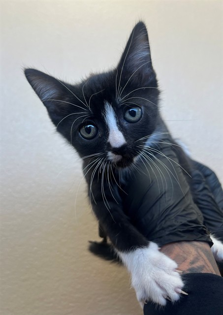 Tux
