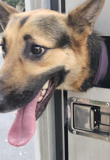 Nala