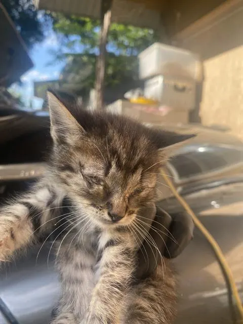Charlie