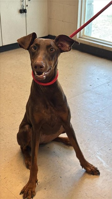 Coco