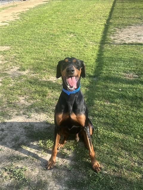Kilo