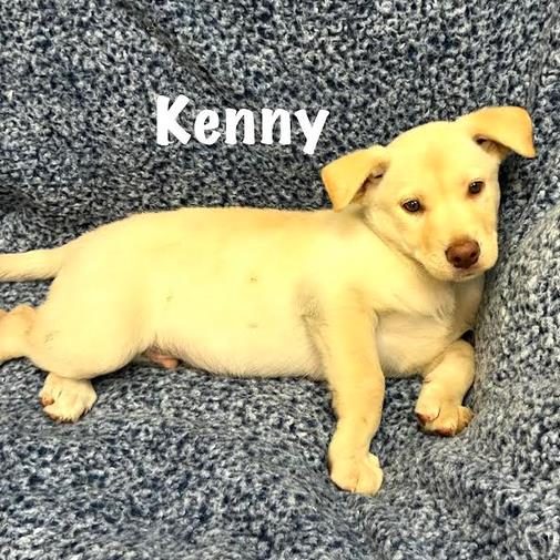Kenny