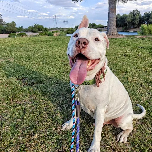Max