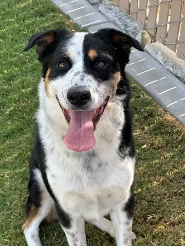 Ralph
