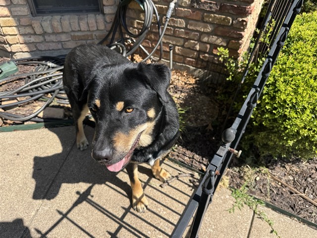 Max