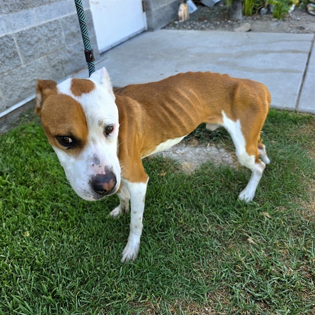 Sam