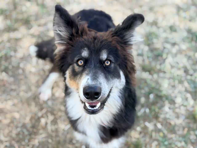 Max