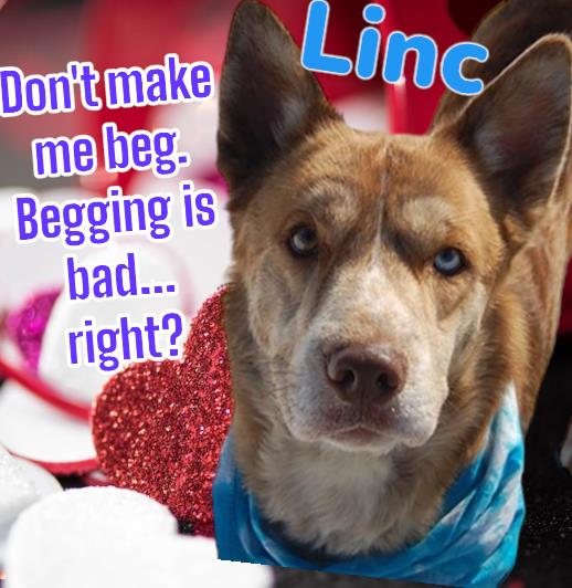 Linc