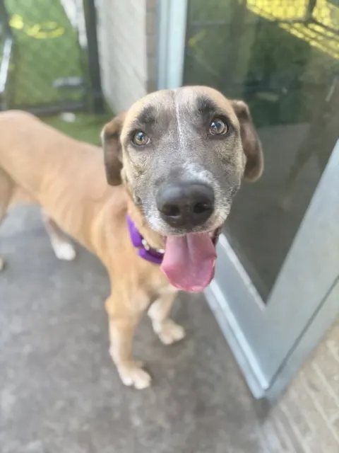 Shiloh