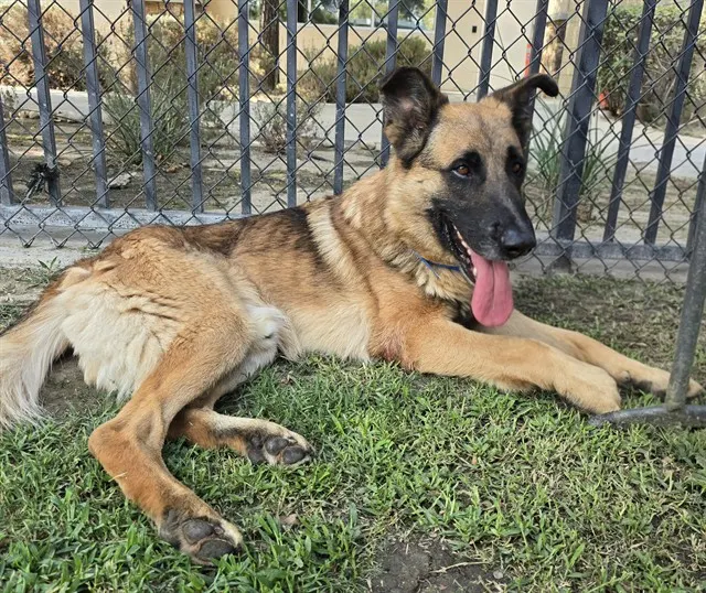 Sam