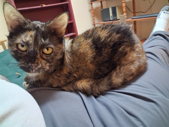 Sally