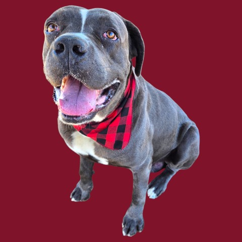 Max