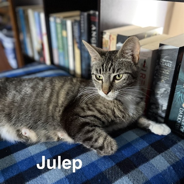 Juliep