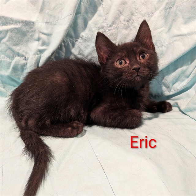 Eric