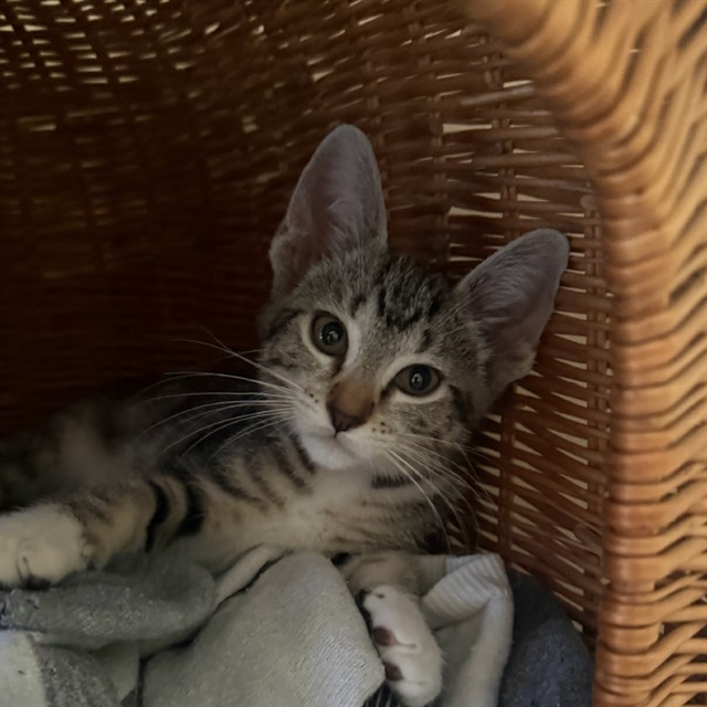 Tina