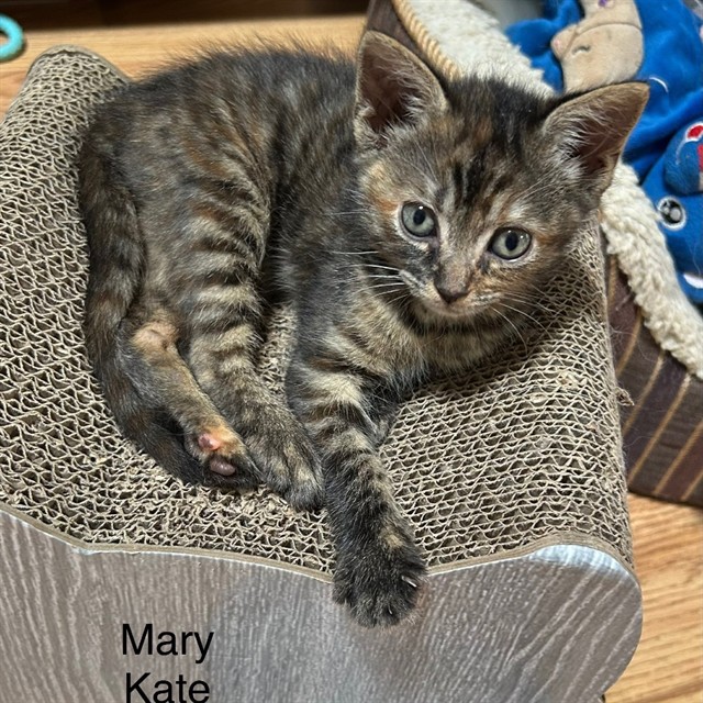 Mary-Kate