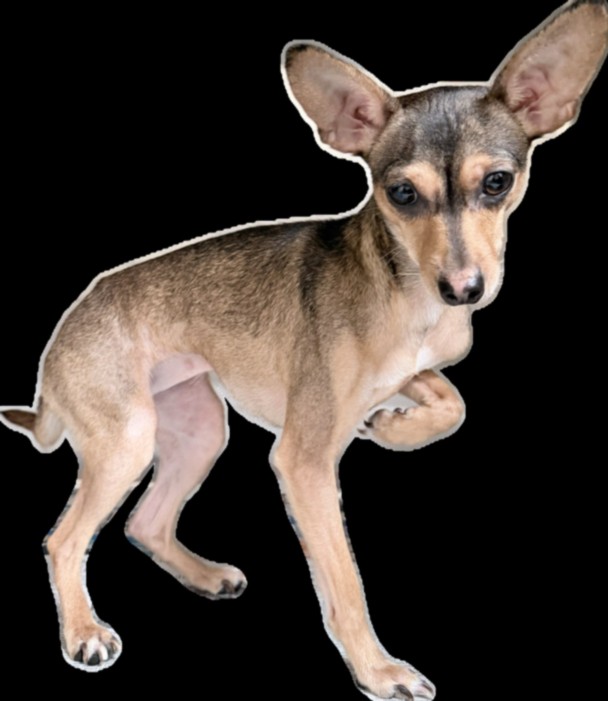 Chispa