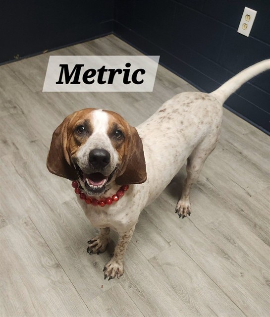 Metric