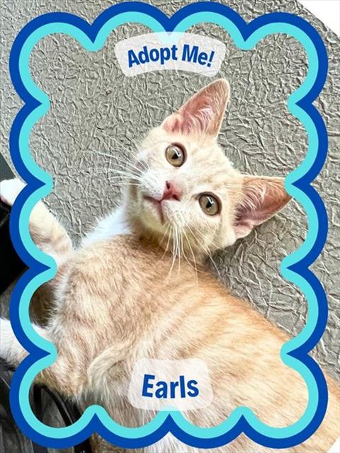 Earls